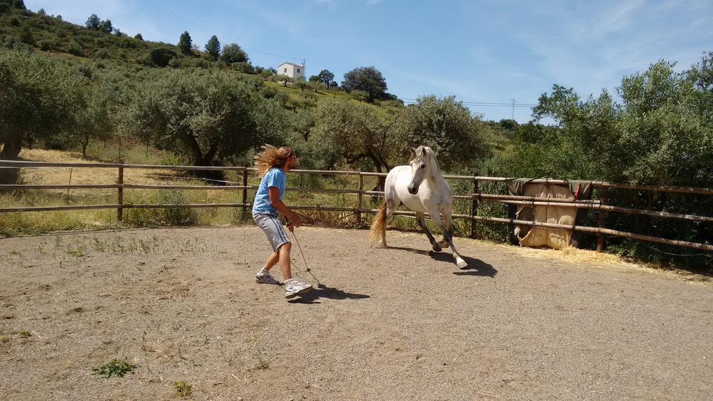 Finca La Piedra Holidays Alora Luaran gambar