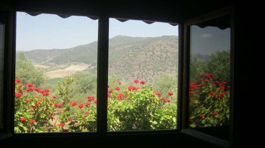 Finca La Piedra Holidays Alora Bilik gambar