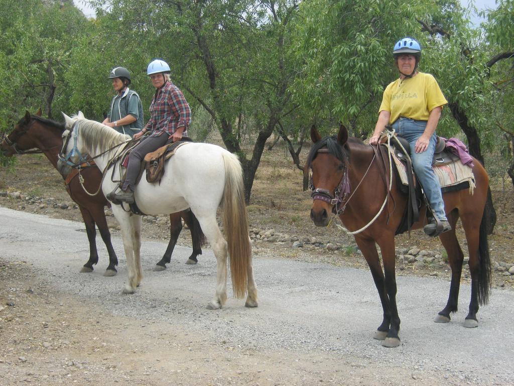 Finca La Piedra Holidays Alora Luaran gambar