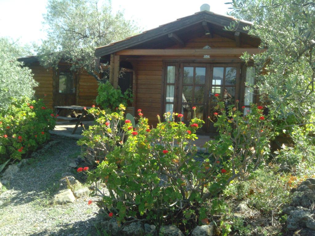 Finca La Piedra Holidays Alora Bilik gambar