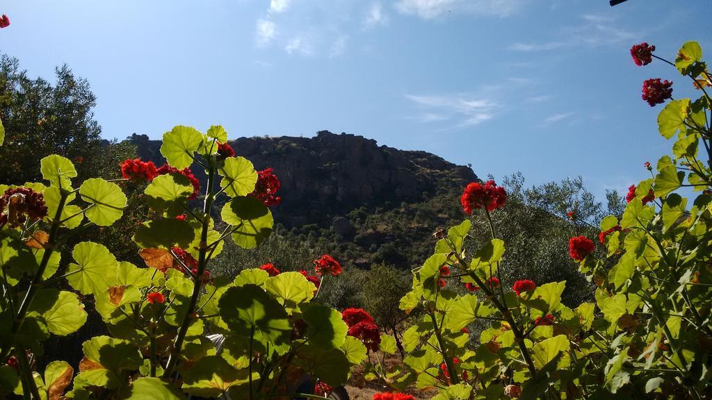 Finca La Piedra Holidays Alora Luaran gambar